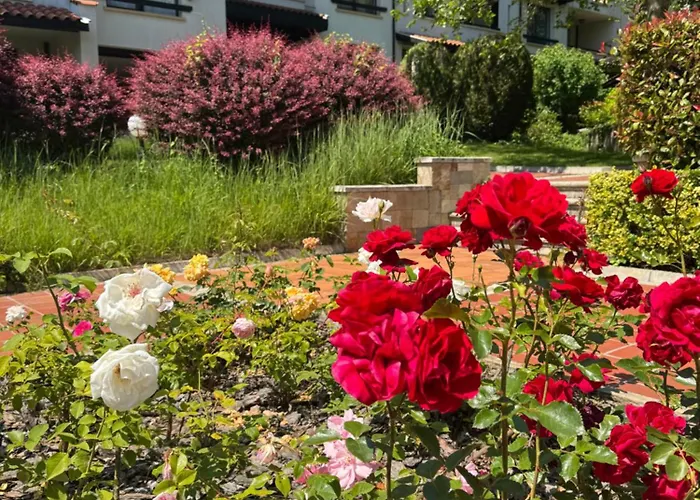 Casa Oasis アパート *