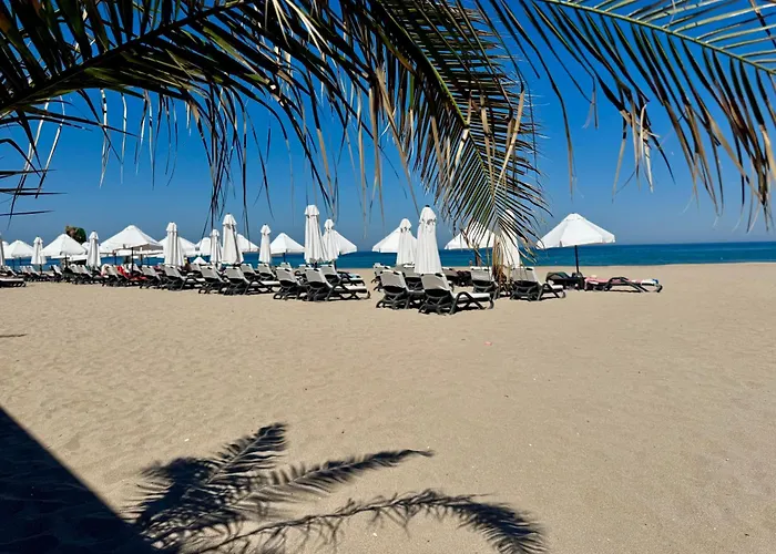 Casa Oasis アパート *