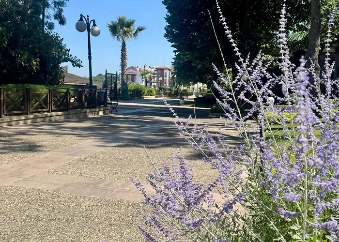 アパート Casa Oasis ロゼネッツ